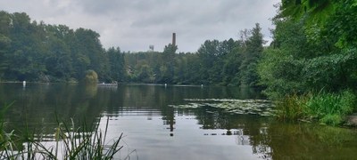 [alternativer Bildtext]